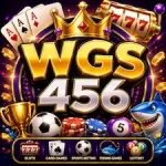 wgs456 game