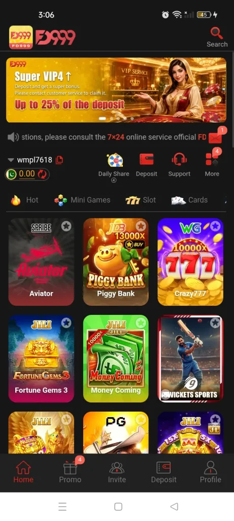 FD999 Game
